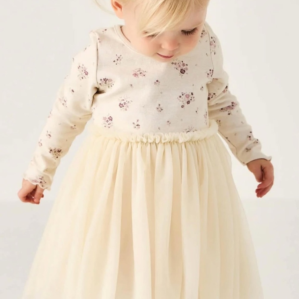 Jamie Kay Cream and Pink Floral Tulle Dress